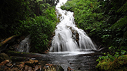 Small Rwanda waterfall