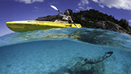 Snorkeling and kayaking around Seychelles coral reef