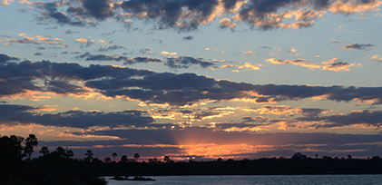 Zambezi sunset